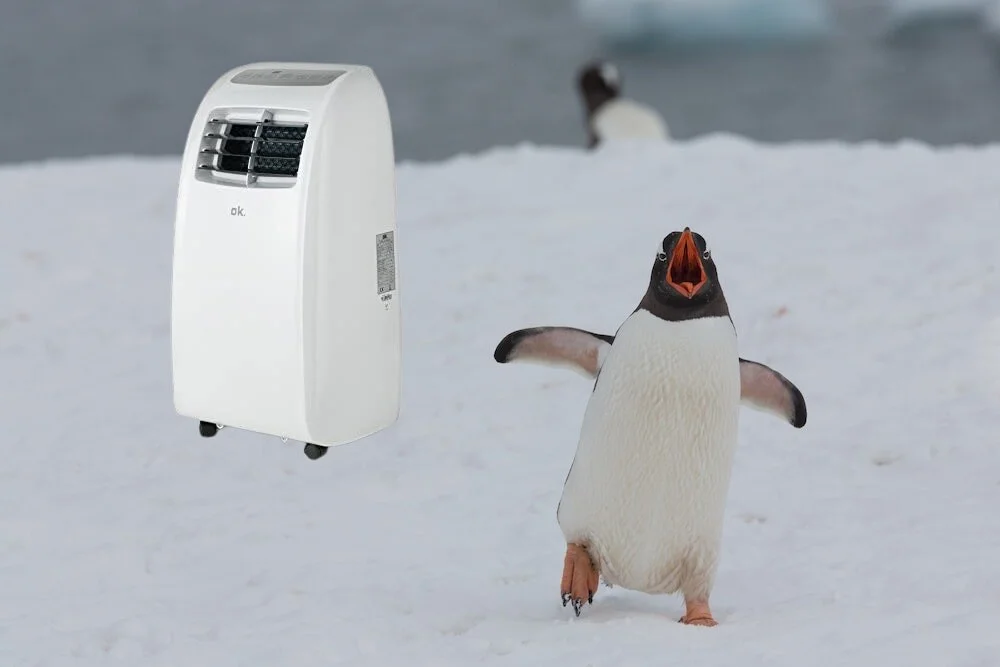 Aire acondicionado: todo sobre los pingüinos de enfriamiento