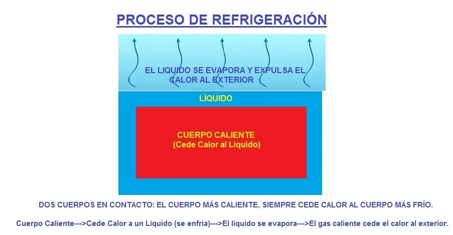 Funcionamiento del congelador en una nevera: todo lo que debes saber