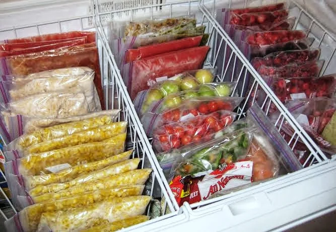 Mejores prácticas para organizar alimentos en el congelador