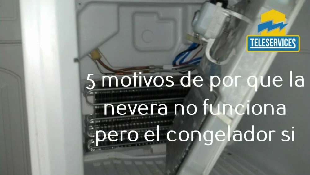 Detecta si tu congelador no está funcionando correctamente