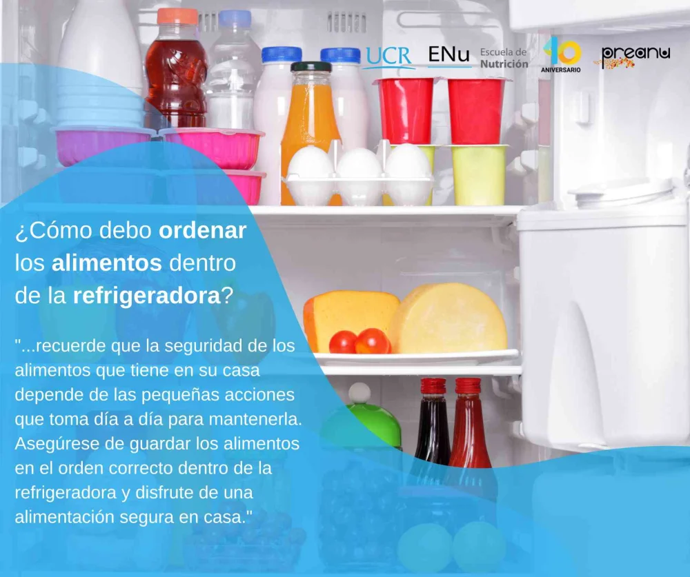 Nombres del congelador de la nevera que debes conocer