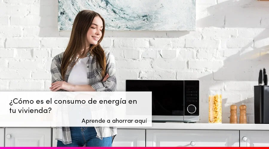 Comparativa: gastos de un congelador vs frigorífico para tu hogar