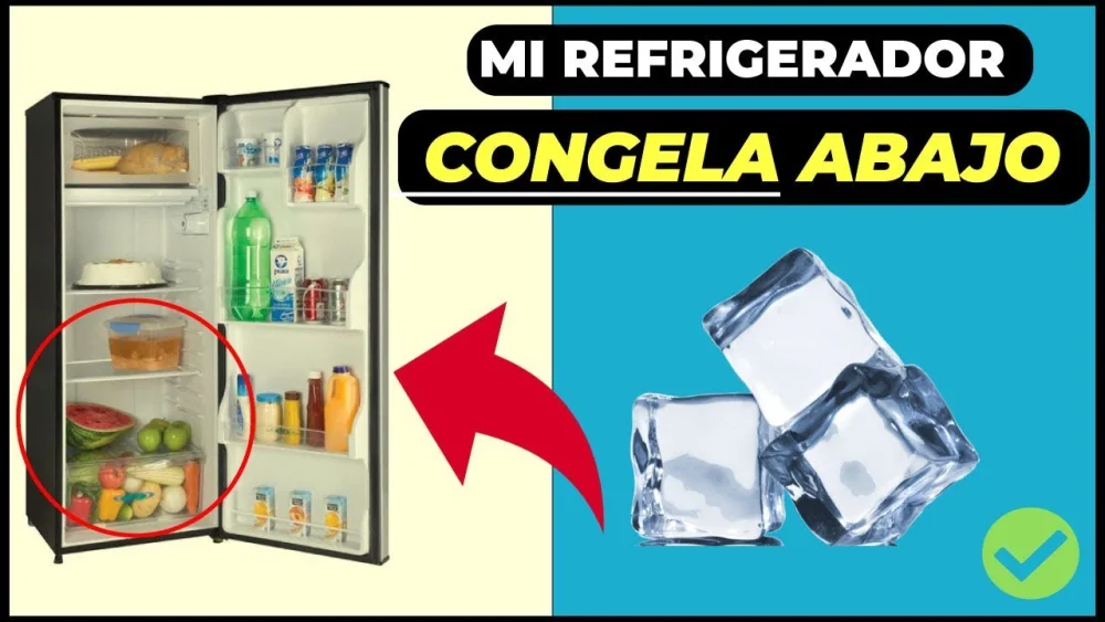 Parte del congelador que congela más: ¿lo sabías?