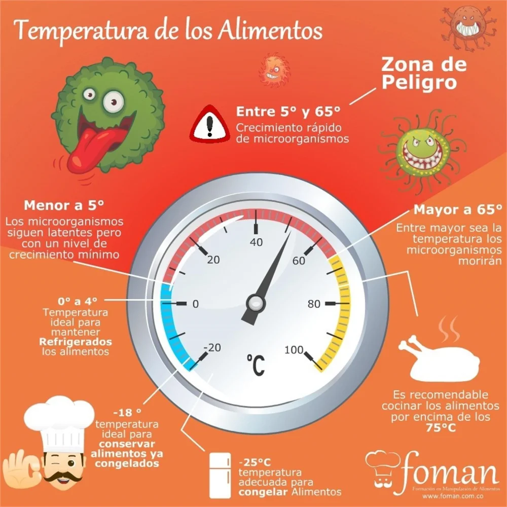 Temperatura ideal de congelador - Cómo mantener tus alimentos frescos