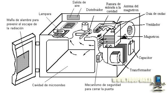 Funcionamiento del electromagnetismo en un horno de microondas