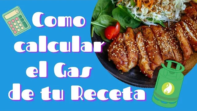 Consumo de gas en hornos a 180 grados: lo que debes saber