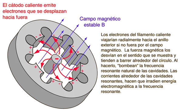 El magnetrón y su función en el horno de microondas