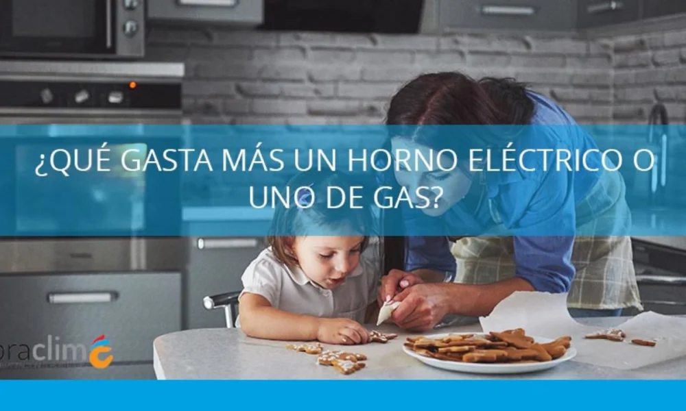 Comparativa de consumo entre horno a gas y eléctrico: ¿cuál es más eficiente?