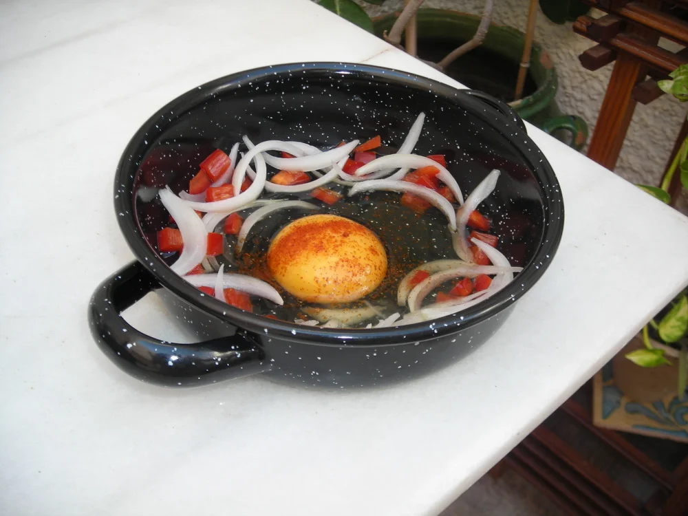 Cocina deliciosos platos con un horno solar