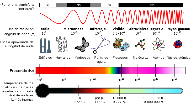 Comparativa de radiación: Celular vs Microondas, ¿cuál genera más?