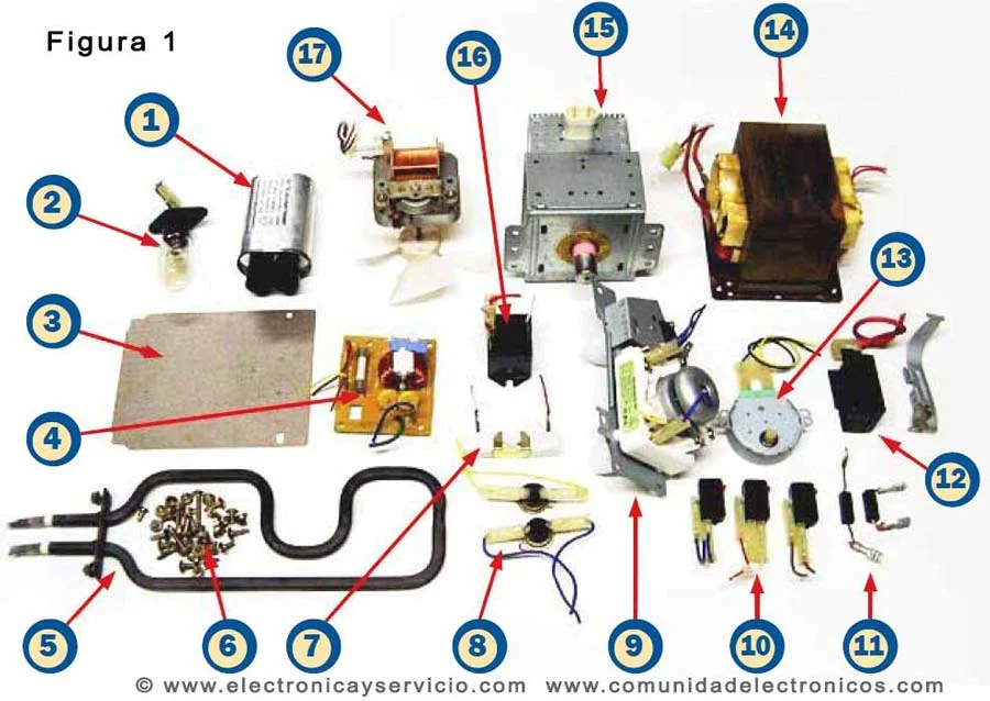 Los componentes de un microondas más importantes