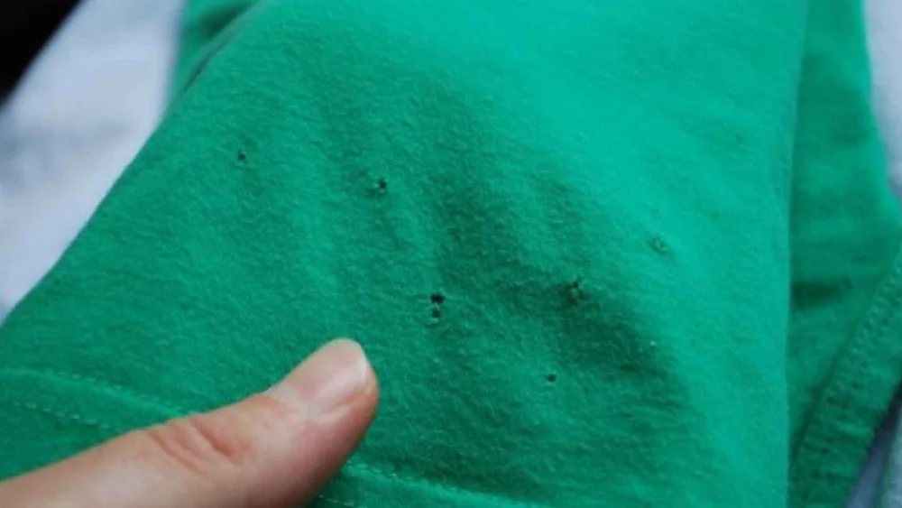 Razones de los hoyos en la bolsa antes de usar el microondas