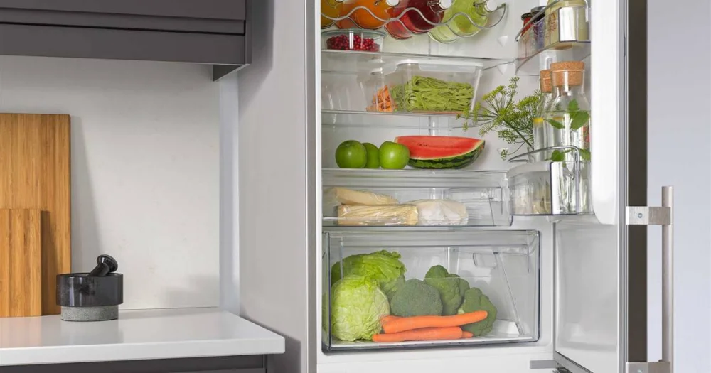 Ahorro energético: ¿La nevera llena o vacía consume más?