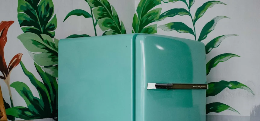 Neveras de bajo consumo energético: ¿Cuál es la más eficiente?