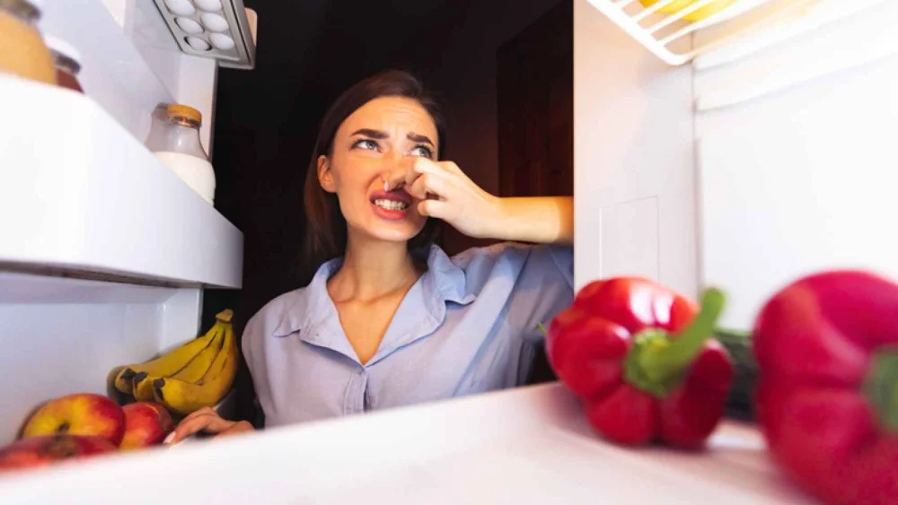 Soluciones para eliminar los malos olores de la nevera