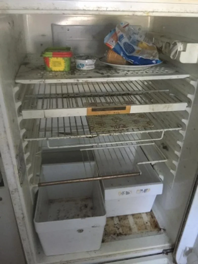 Razones del moho en la nevera y cómo prevenirlo