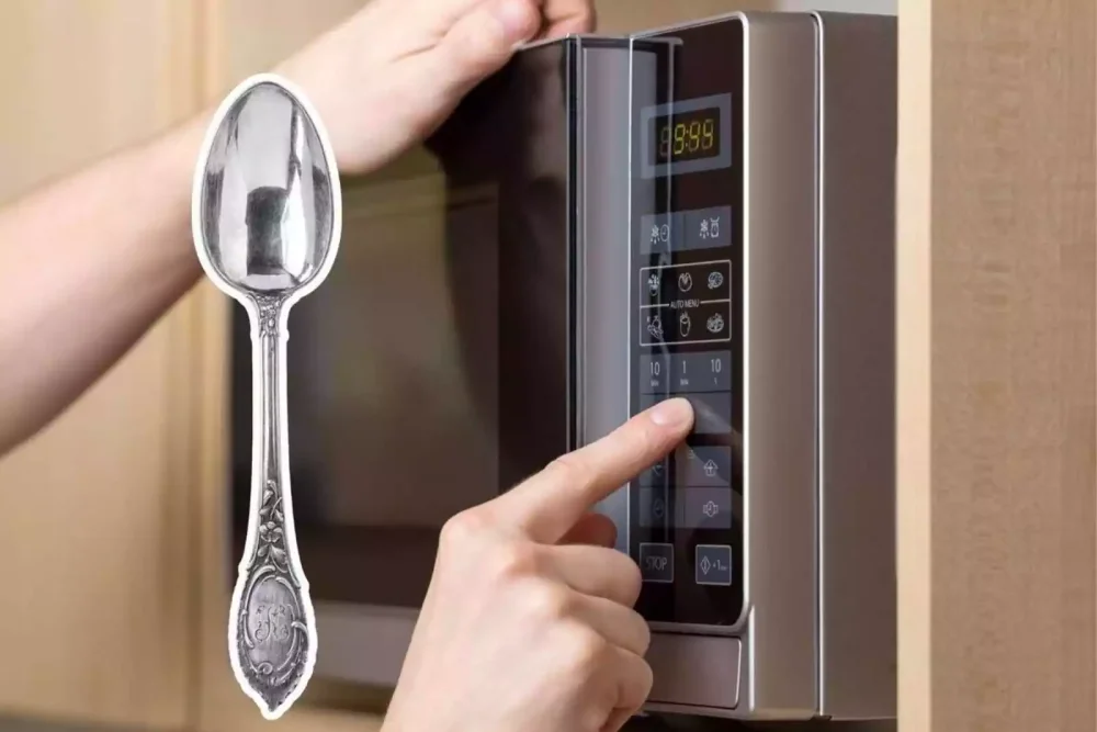 Increíbles consecuencias de meter comida con cuchara al microondas