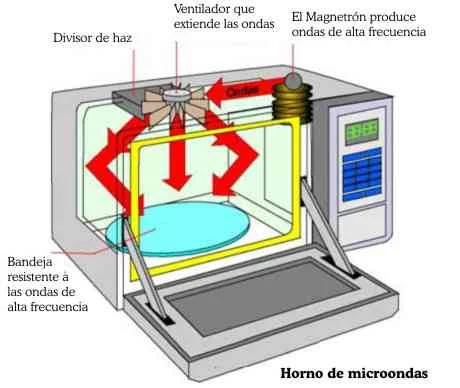 Las partes esenciales de un microondas