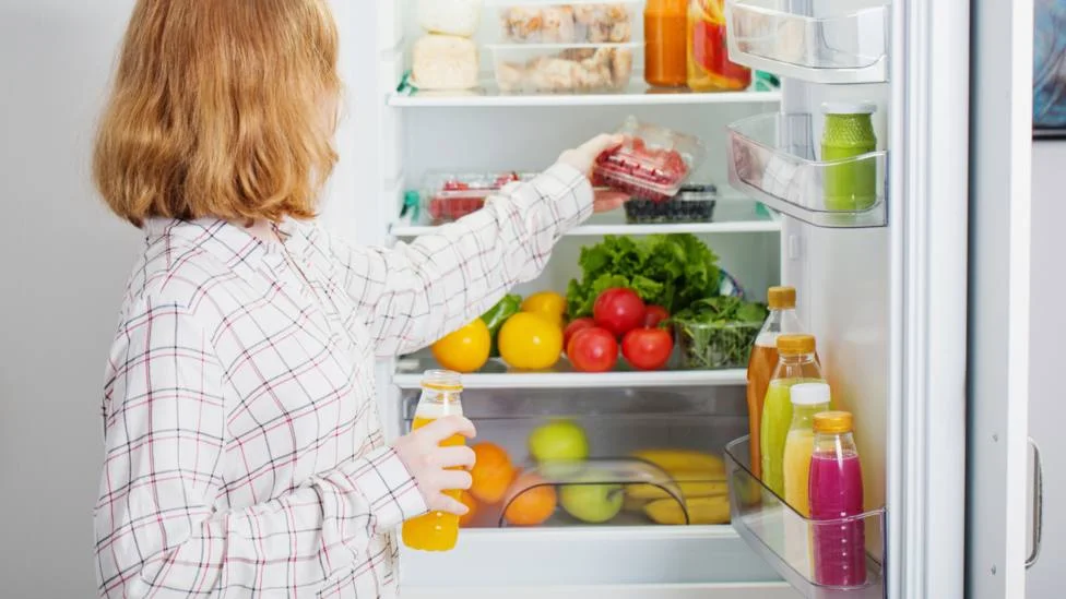 Consejos para vacacionar sin preocuparte por tu nevera