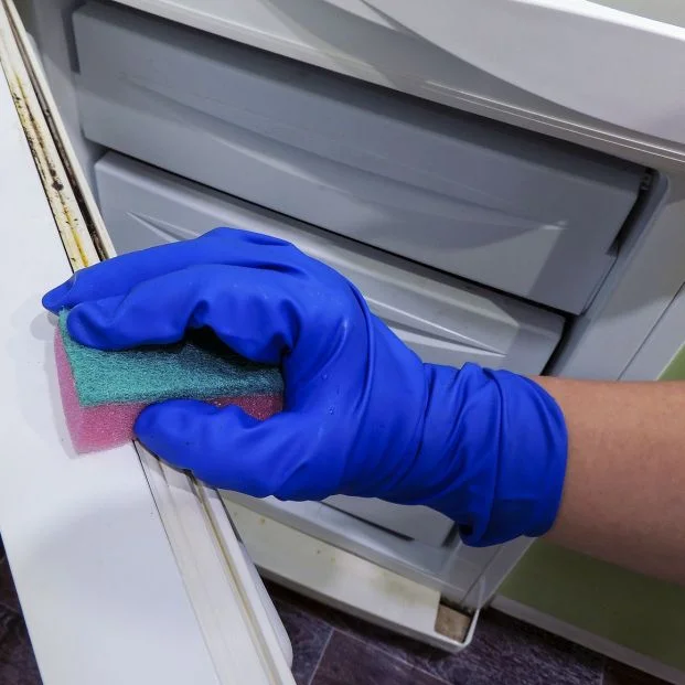 Trucos efectivos para eliminar manchas negras de goma de nevera