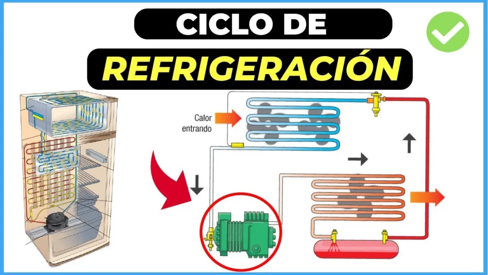 Ciclo de una nevera: Lo que debes saber sobre su funcionamiento