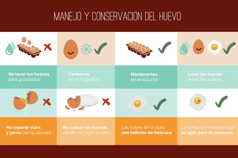 Tiempo de conservación de un huevo en la nevera: duración y recomendaciones