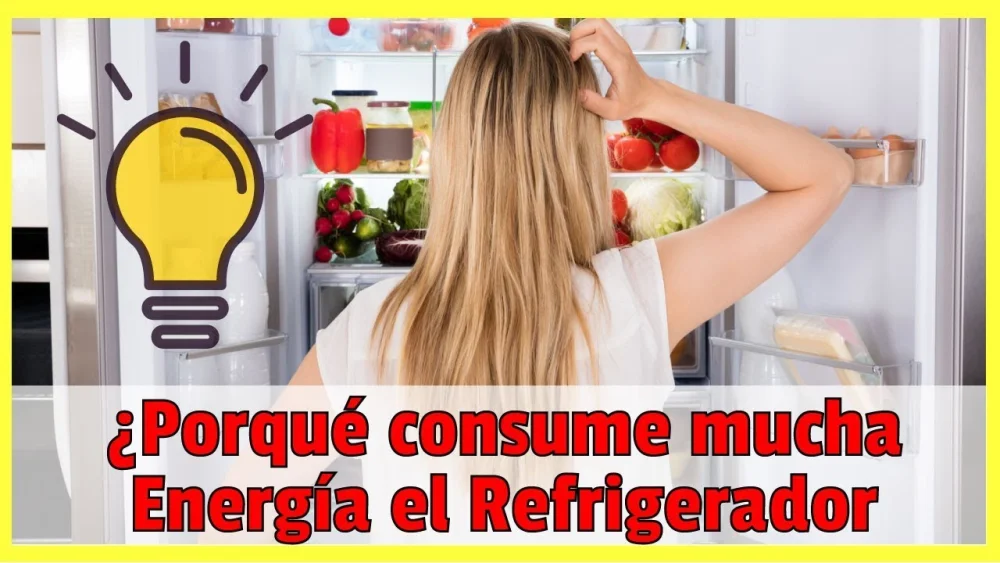 Cómo saber si mi refrigerador gasta mucha luz