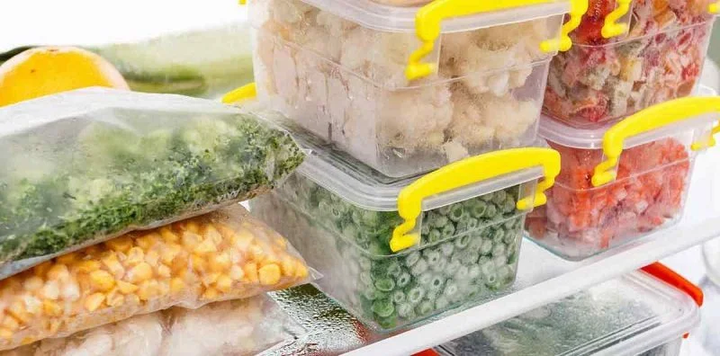 Alternativas para conservar alimentos sin refrigerador