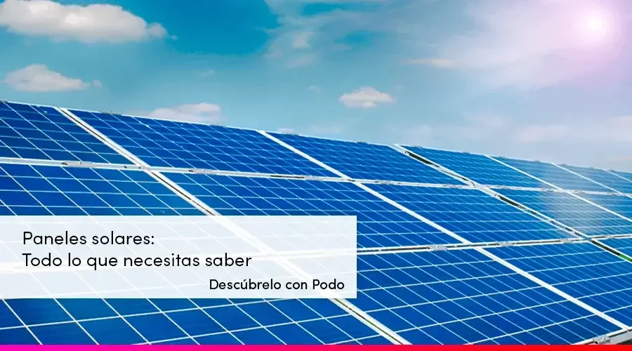 Placa verde: todo lo que necesitas saber sobre ella