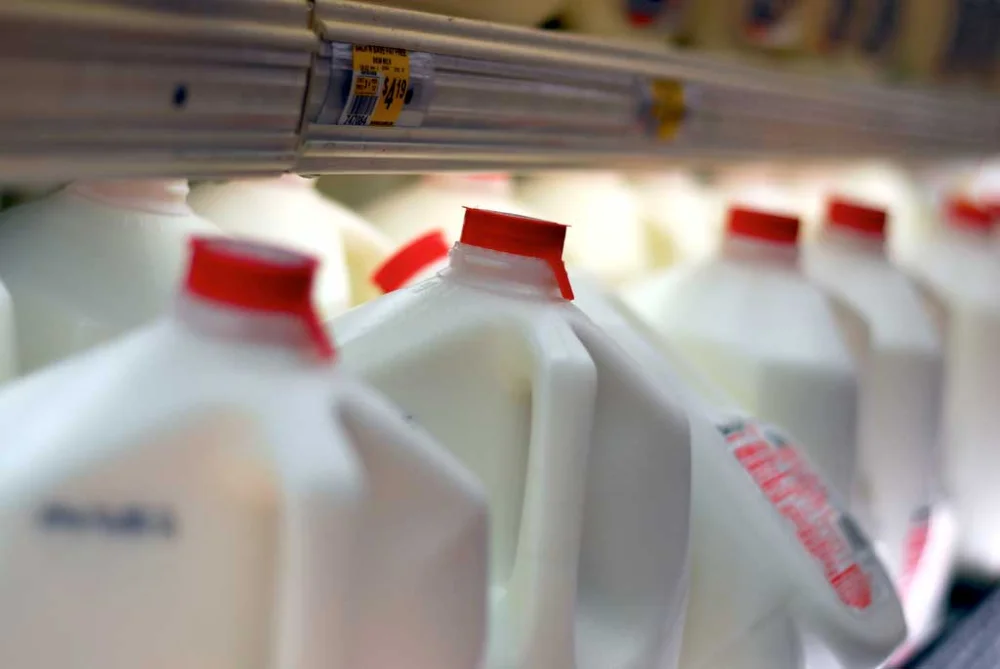 Tiempo de conservación de la leche fría en un termo