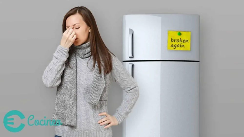 Señales de que tu refrigerador no enfría correctamente