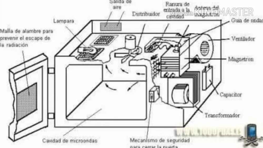 Tipos de mantenimiento para un microondas