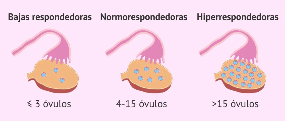 Convierte grados en vitrocerámica: encuentra la respuesta aquí